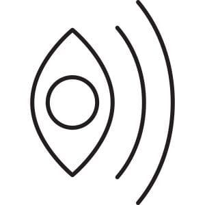 Perspective Mode icon
